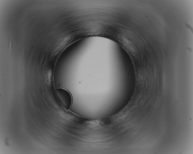 X0000097650118200803071518