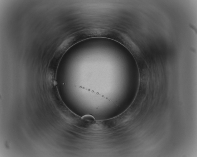 X0000097650119200803071518