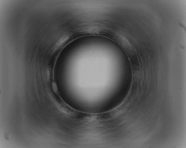 X0000097650120200803071518