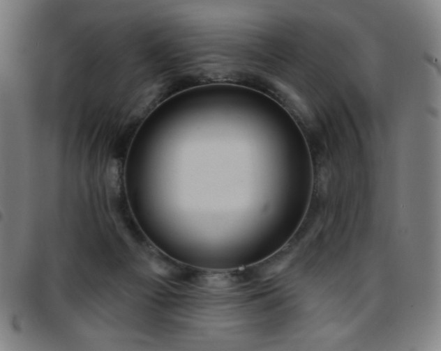 X0000097650121200803071518