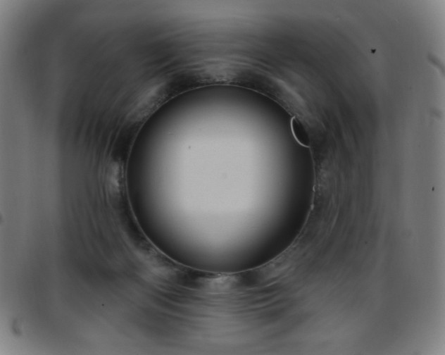 X0000097650122200803071518