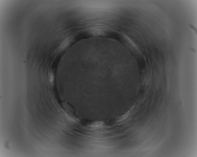 X0000097650124200803071518