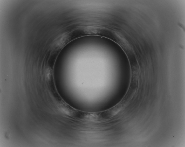 X0000097650125200803071518