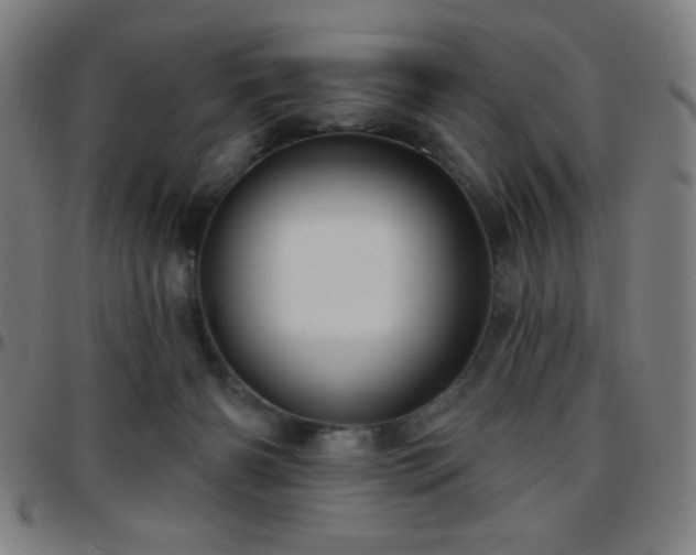 X0000097650126200803071518