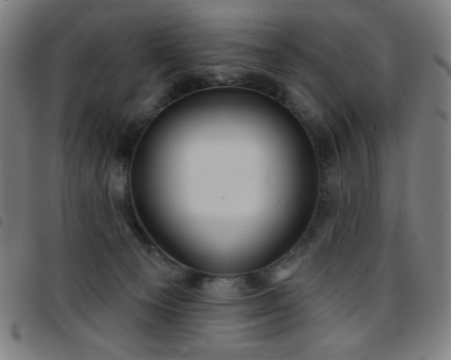 X0000097650129200803071518