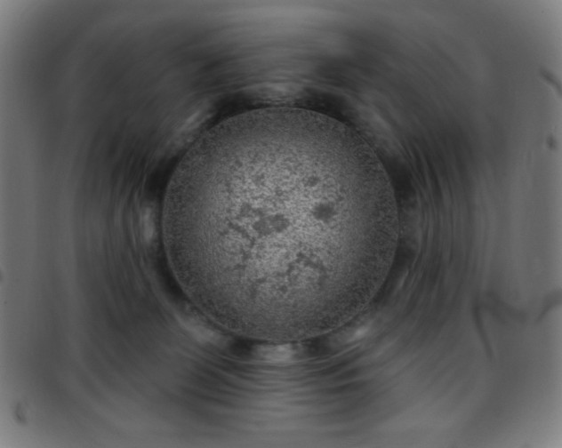 X0000097650131200803071518