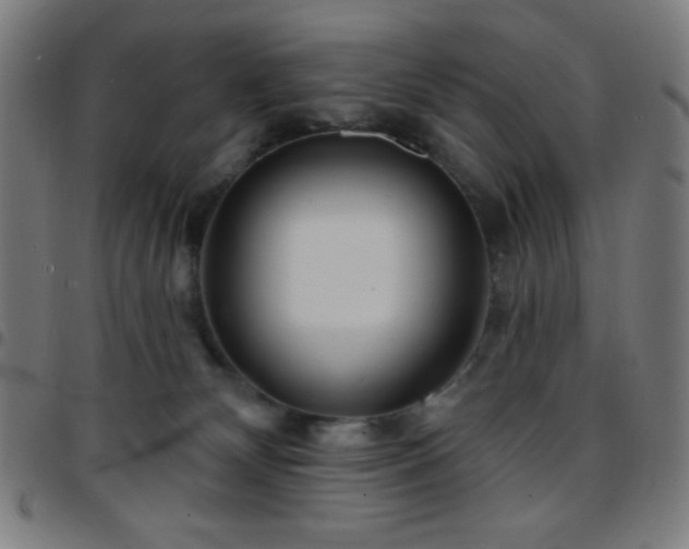 X0000097650132200803071518