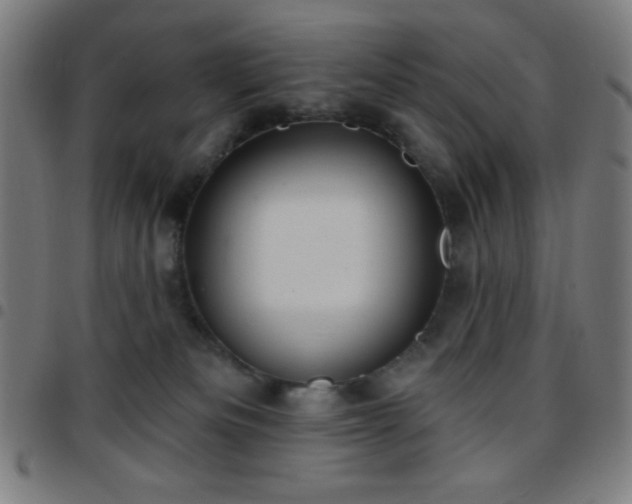 X0000097650133200803071518