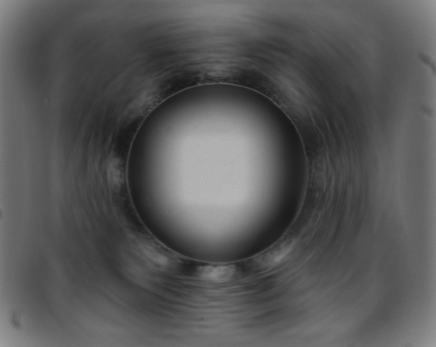 X0000097650135200803071518