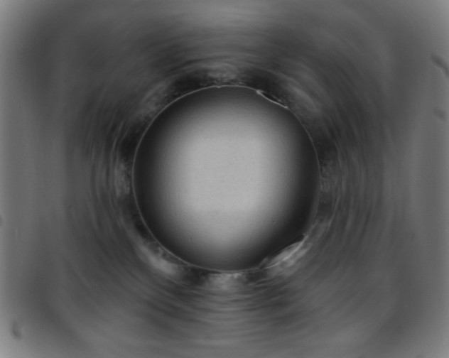 X0000097650136200803071518