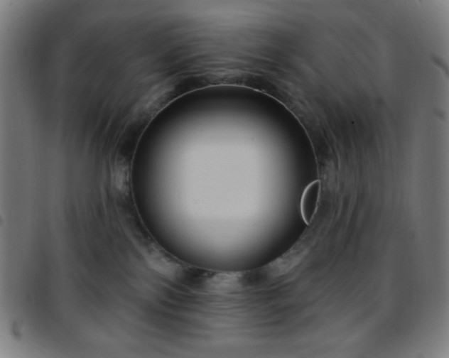 X0000097650138200803071518