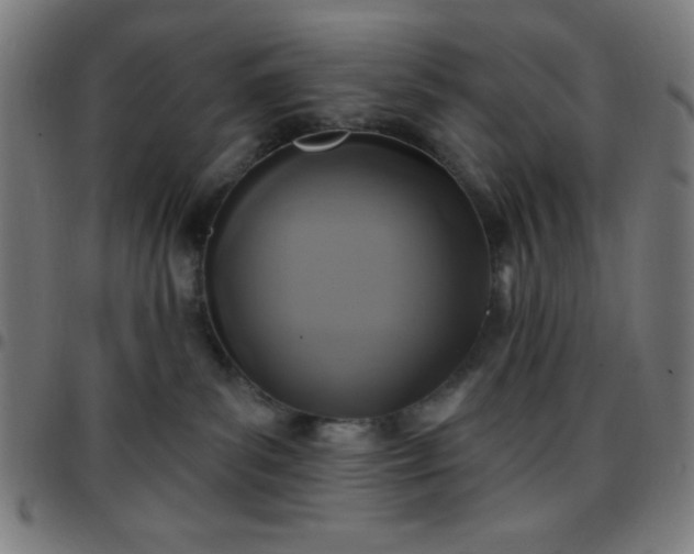 X0000097650139200803071518