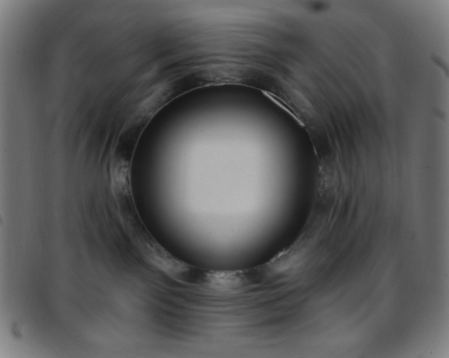 X0000097650141200803071518