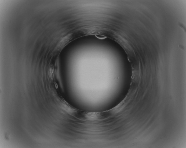 X0000097650142200803071518