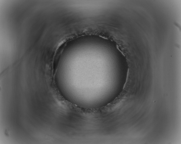 X0000097650144200803071518