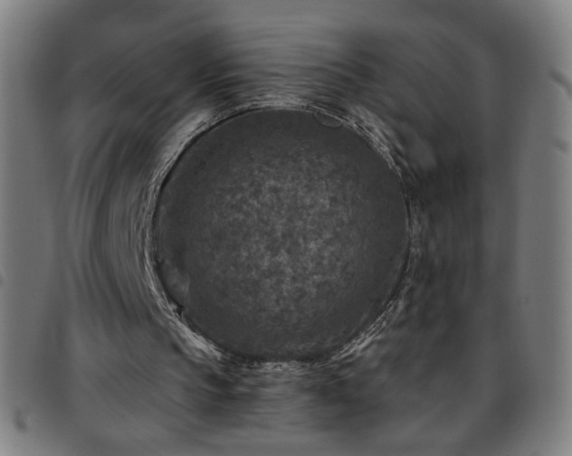 X0000097650145200803071517