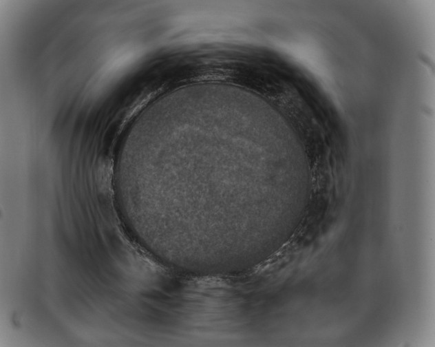 X0000097650146200803071517