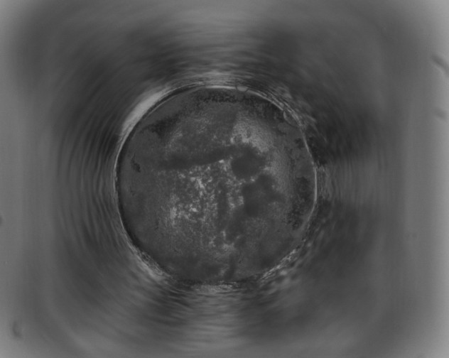 X0000097650147200803071517