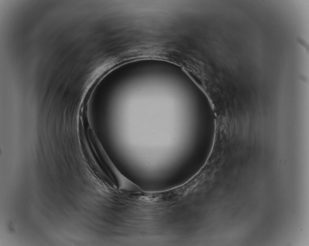 X0000097650148200803071517