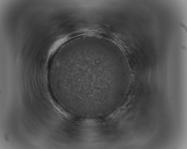 X0000097650149200803071517