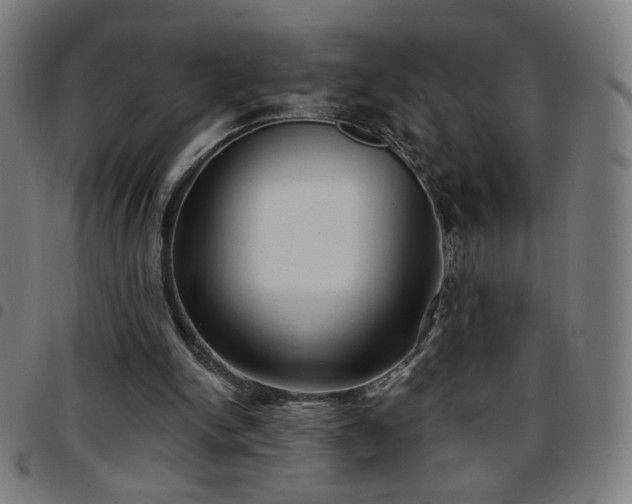 X0000097650150200803071517