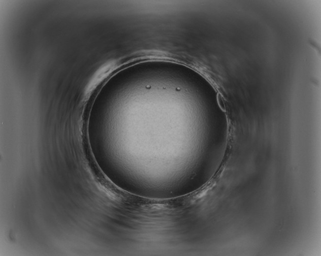 X0000097650151200803071517