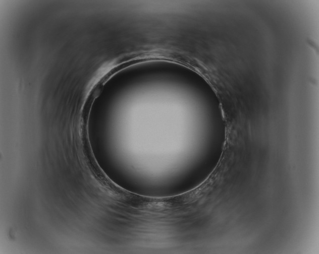 X0000097650152200803071517