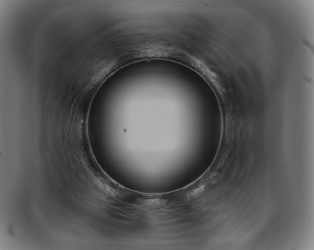 X0000097650153200803071517