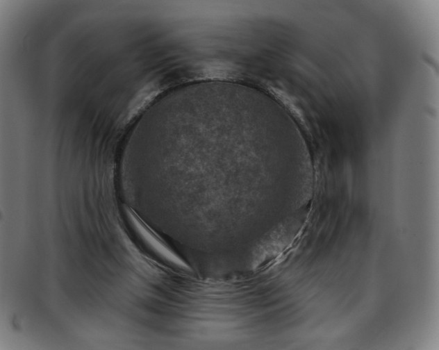 X0000097650154200803071517