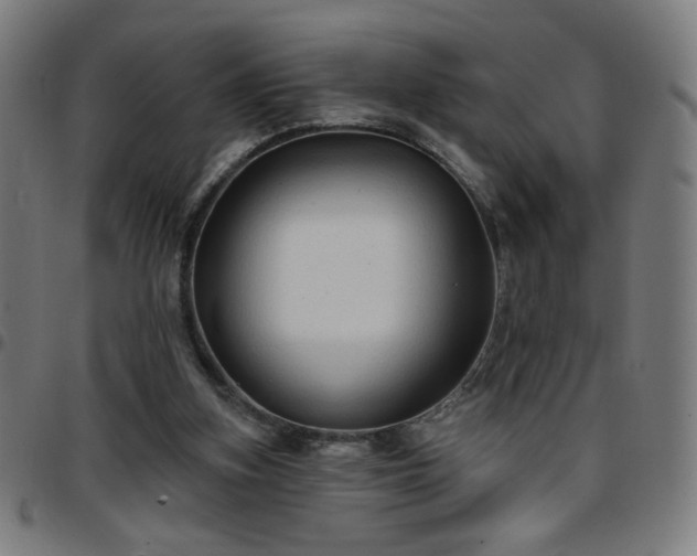 X0000097650155200803071517