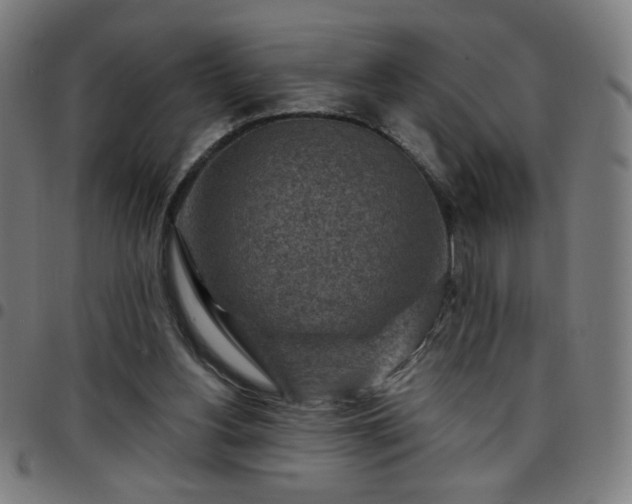 X0000097650156200803071517