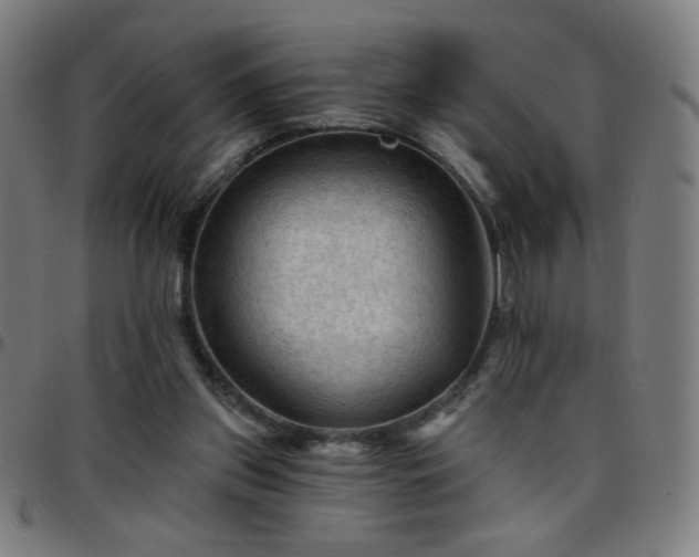 X0000097650157200803071517