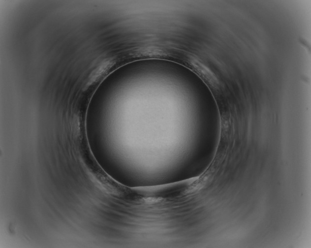 X0000097650158200803071517