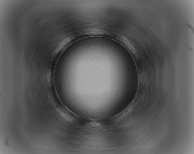 X0000097650159200803071517