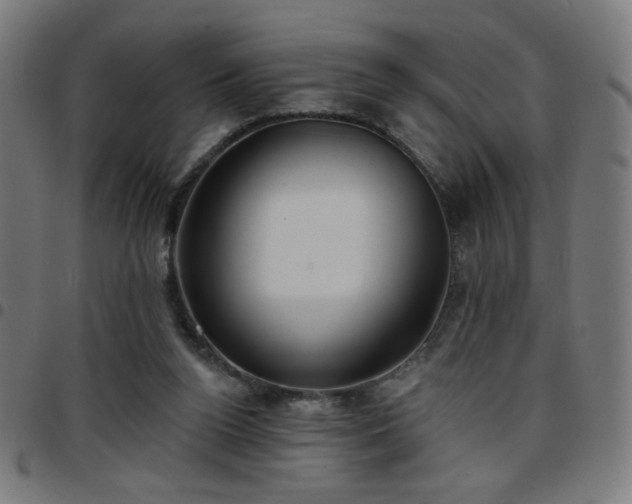 X0000097650160200803071517