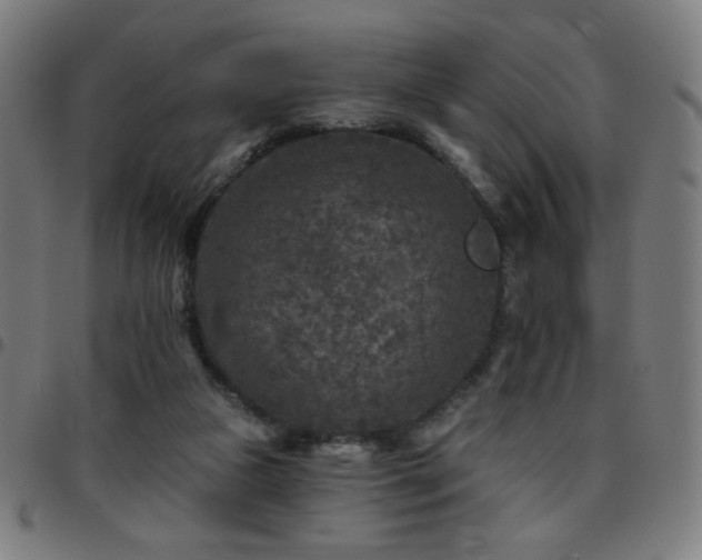 X0000097650161200803071517