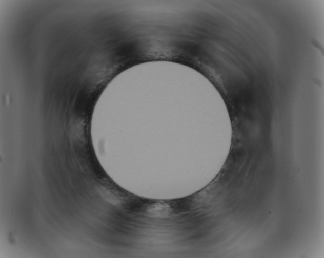 X0000097650162200803071517