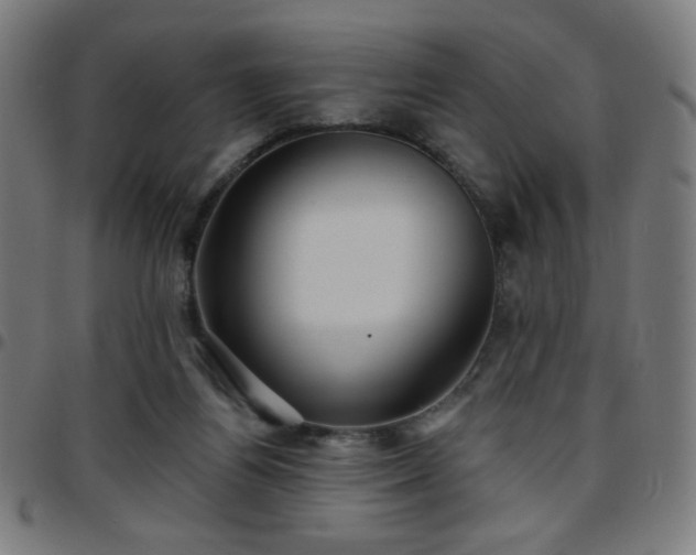 X0000097650164200803071517