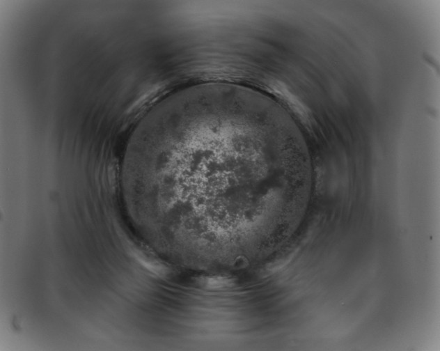 X0000097650165200803071517