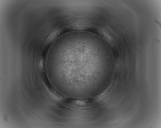 X0000097650166200803071517