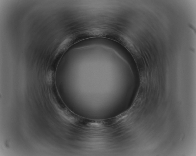 X0000097650167200803071517