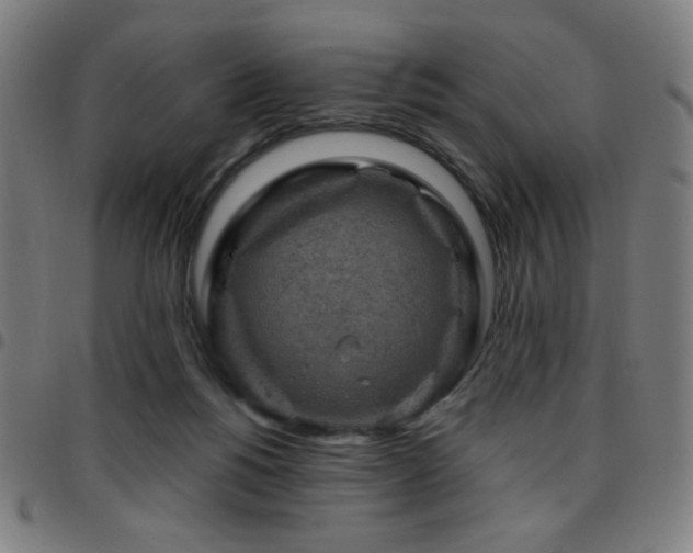 X0000097650168200803071517