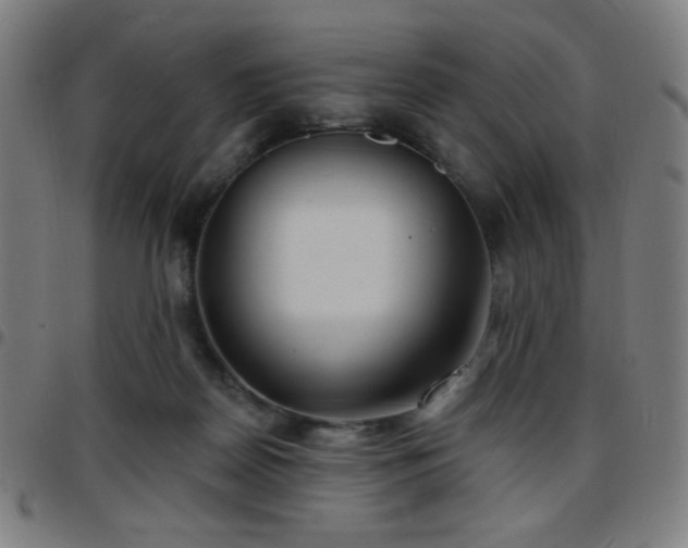 X0000097650170200803071517