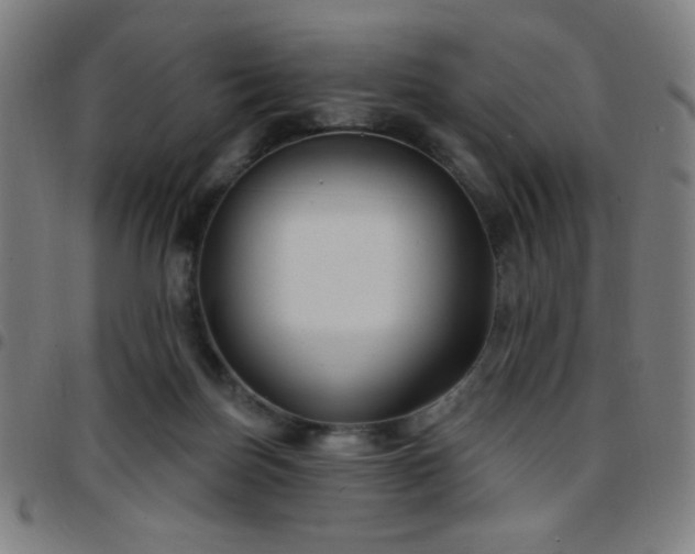 X0000097650171200803071518