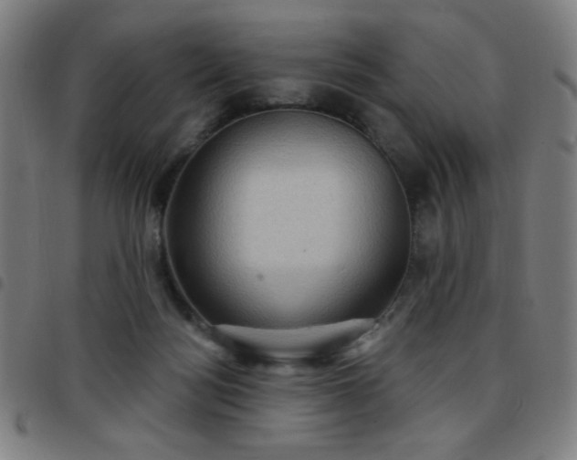 X0000097650172200803071518