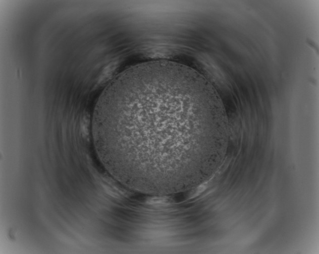 X0000097650175200803071518