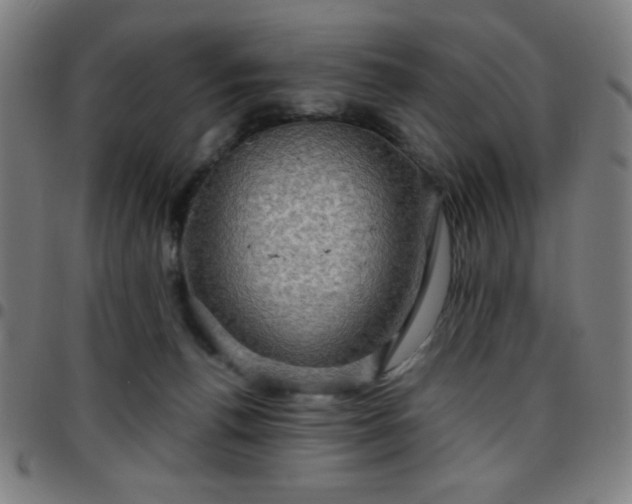 X0000097650176200803071518