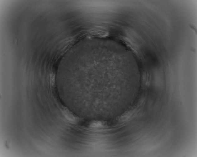 X0000097650177200803071518