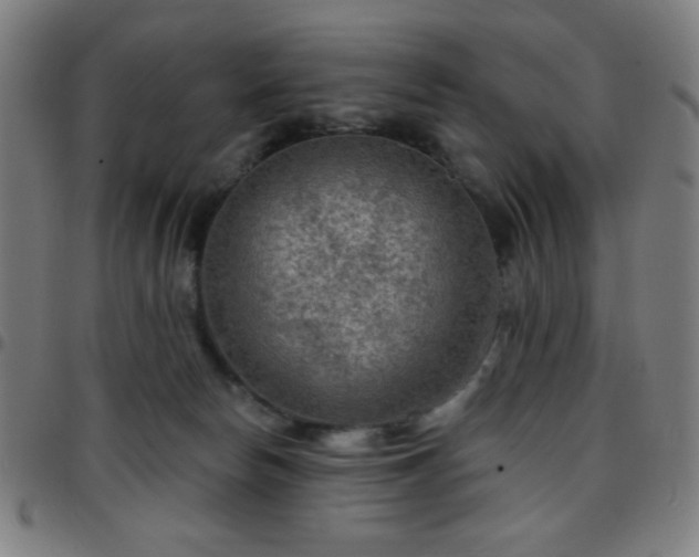 X0000097650178200803071518