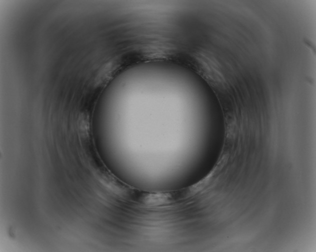 X0000097650179200803071518